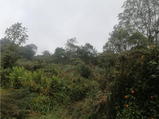 Terreno en Santa Helena, Medellín