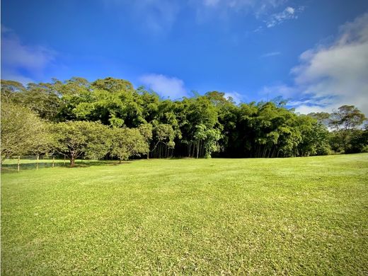 Rionegro, Departamento de Antioquiaの土地