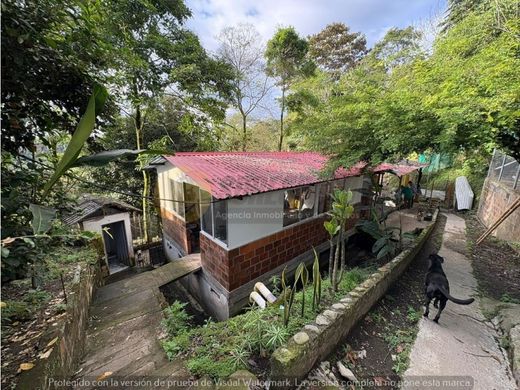 ﻣﻨﺰﻝ ﺭﻳﻔﻲ/ ﺑﻴﺖ ﻤﺰﺭﻋﺔ ﻓﻲ Calarcá, Calarca