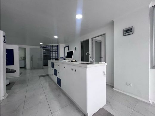 Office in Manizales, Departamento de Caldas