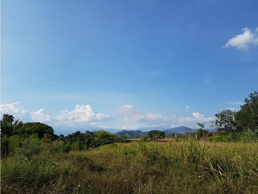 Участок, Перейра, Pereira