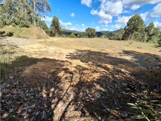 Retiro, Departamento de Antioquiaの土地