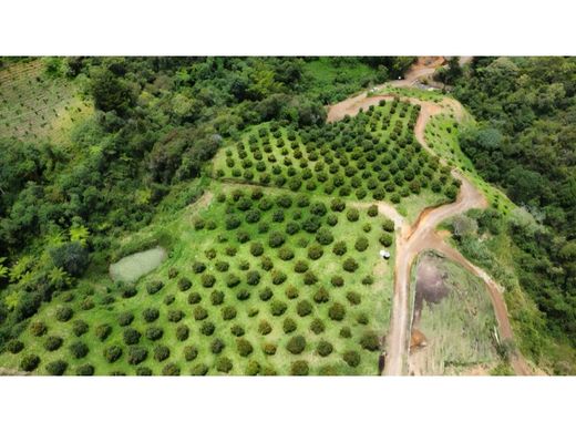 Rustico o casale a San Vicente, San Vicente Ferrer