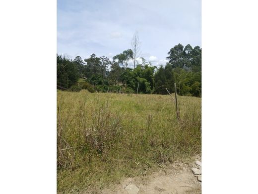 ﻣﻨﺰﻝ ﺭﻳﻔﻲ/ ﺑﻴﺖ ﻤﺰﺭﻋﺔ ﻓﻲ La Ceja, Departamento de Antioquia