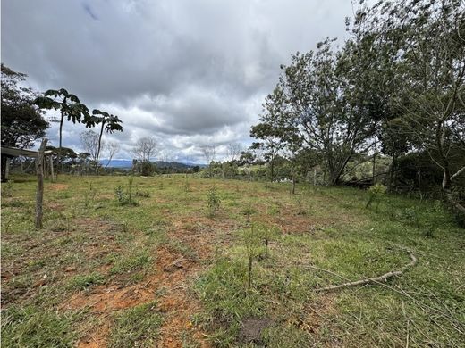 Terreno en Envigado, Departamento de Antioquia