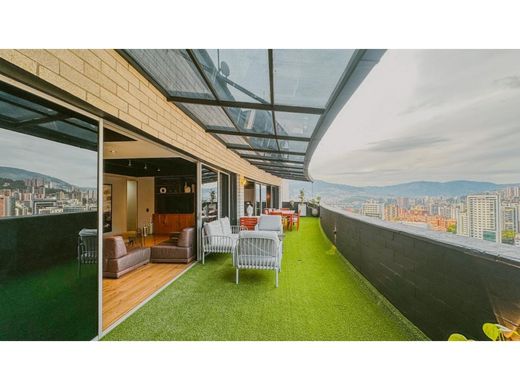 Daire Medellín, Departamento de Antioquia