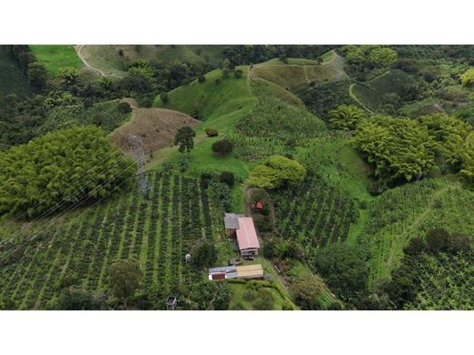 Rustik ya da çiftlik Circasia, Quindío Department