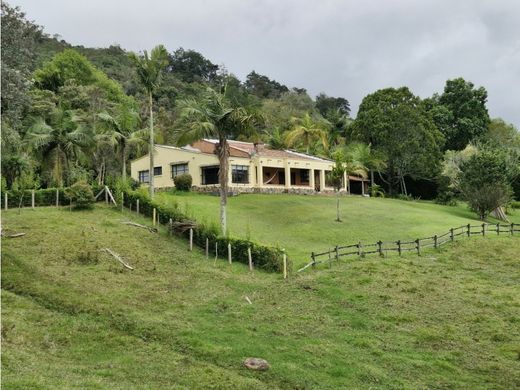 Rustik ya da çiftlik Rionegro, Departamento de Antioquia
