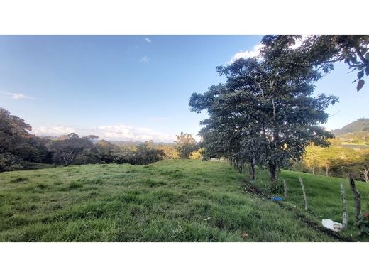 Land in Rionegro, Departamento de Antioquia