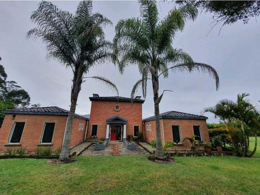 토지 / Rionegro, Departamento de Antioquia