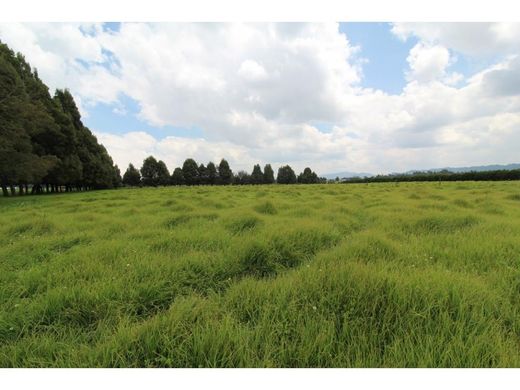 Boerderij in Facatativá, Departamento de Cundinamarca