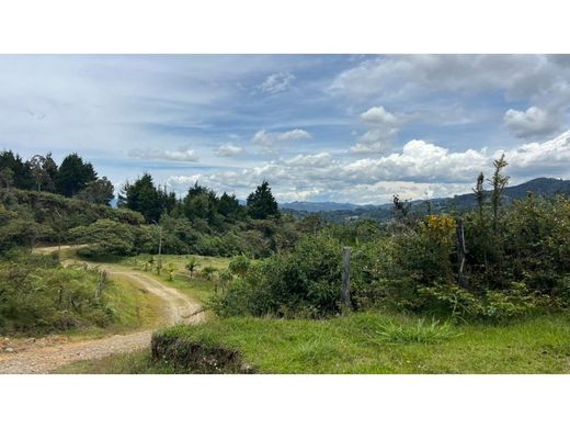 Land in Rionegro, Departamento de Antioquia