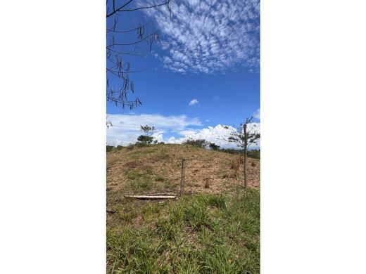 Terreno a Pereira, Departamento de Risaralda