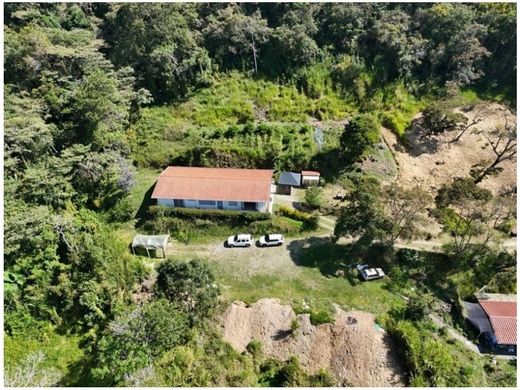 ‏קרקע ב  מדיין
, Medellín