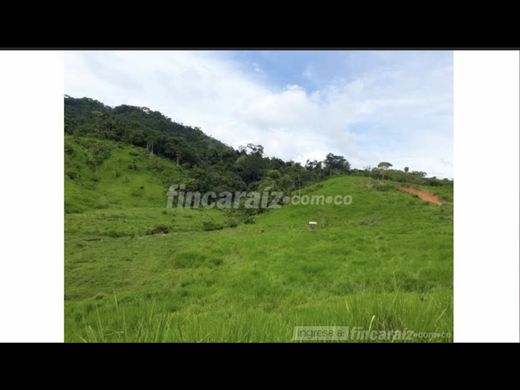 ‏בתים כפריים או חוות ב  Necoclí, Departamento de Antioquia