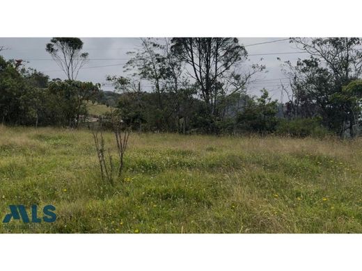 Участок, Rionegro, Departamento de Antioquia