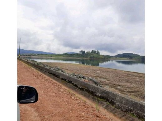 Teren w Concepción, Departamento de Antioquia