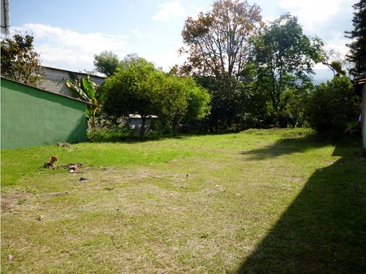 Arsa Armenia, Quindío Department