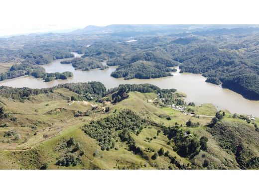 ﻣﻨﺰﻝ ﺭﻳﻔﻲ/ ﺑﻴﺖ ﻤﺰﺭﻋﺔ ﻓﻲ Carolina, Departamento de Antioquia