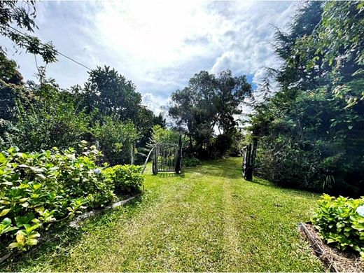 Terrain à Envigado, Departamento de Antioquia