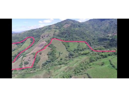 ‏בתים כפריים או חוות ב  Manizales, Departamento de Caldas