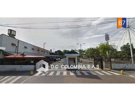 Arsa Cali, Departamento del Valle del Cauca