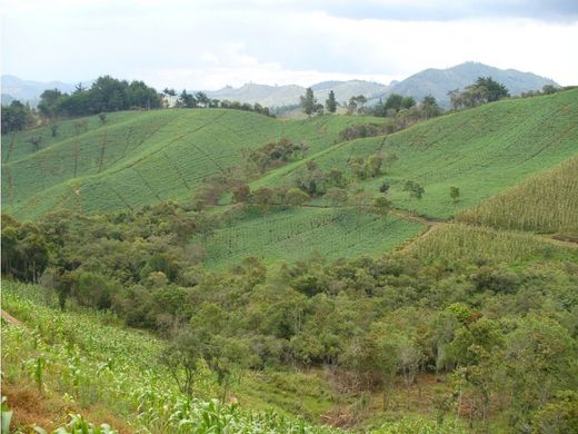 Grundstück in Retiro, Departamento de Antioquia