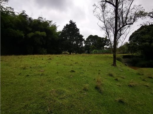 أرض ﻓﻲ Rionegro, Departamento de Antioquia