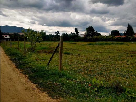 Teren w Cajicá, Departamento de Cundinamarca