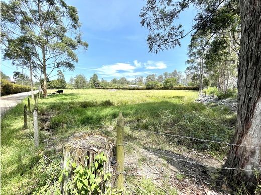 Αγροτεμάχιο σε Rionegro, Departamento de Antioquia