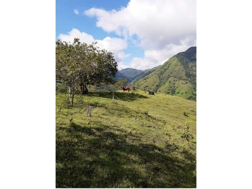 Участок, San Jerónimo, Departamento de Antioquia