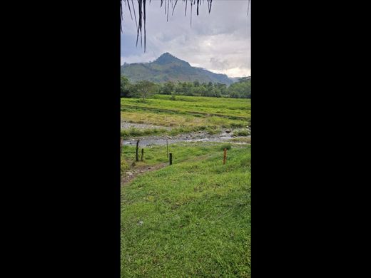 ‏בתים כפריים או חוות ב  Manizales, Departamento de Caldas