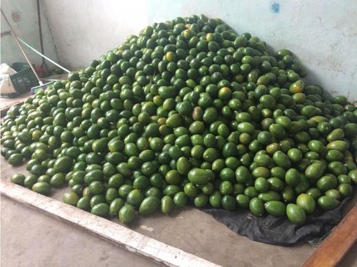 ‏בתים כפריים או חוות ב  San Sebastián de Mariquita, Departamento de Tolima