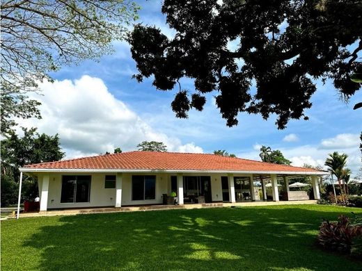 Maison de luxe à Montenegro, Quindío Department