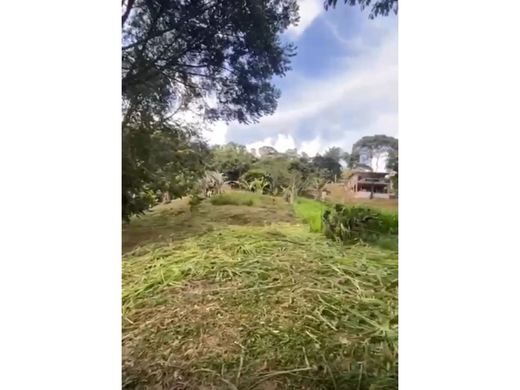 Terrain à San Carlos, El Piñon