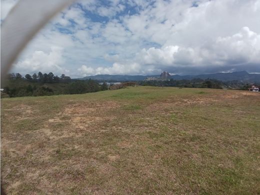 Αγροτεμάχιο σε El Peñol, Yarumal