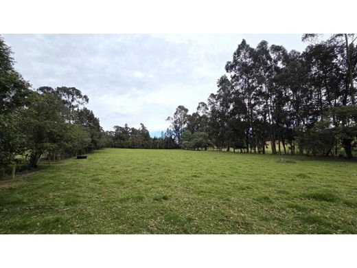 Ferme à Tabio, Departamento de Cundinamarca