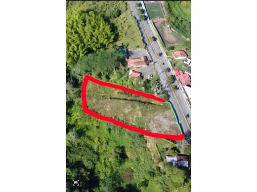 Arsa Armenia, Quindío Department