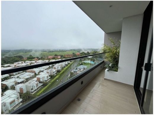 Penthouse Pereira, Departamento de Risaralda