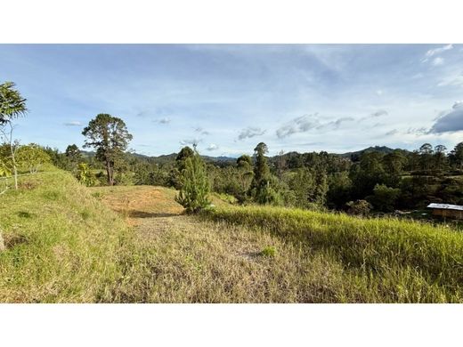 Terrain à Retiro, Departamento de Antioquia