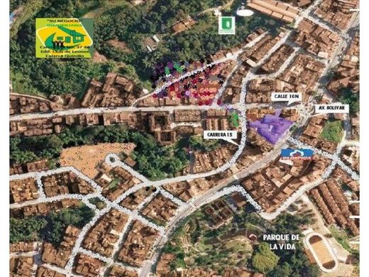 Arsa Armenia, Quindío Department