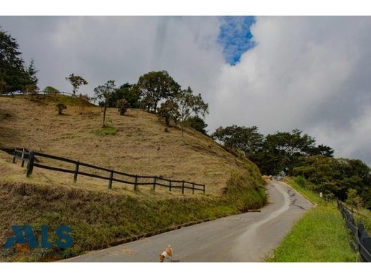 Участок, Rionegro, Departamento de Antioquia