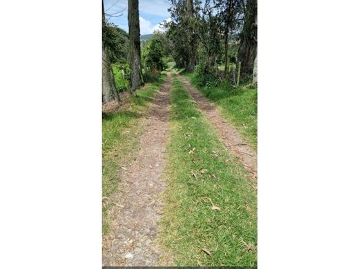 村舍/农舍  La Vega, Departamento de Cundinamarca