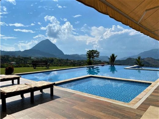 Ferme à Venecia, Departamento de Antioquia