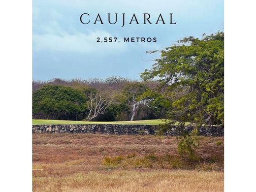 Teren w Puerto Colombia, Departamento del Atlántico