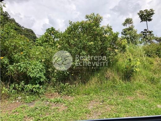 ‏קרקע ב  Manizales, Departamento de Caldas