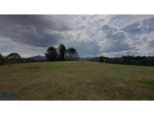 Teren w Retiro, Departamento de Antioquia