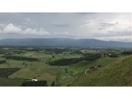 Сельский Дом, Pitalito, Departamento del Huila