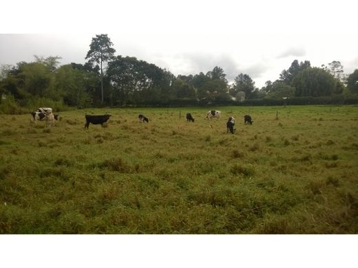 ‏קרקע ב  Rionegro, Departamento de Antioquia