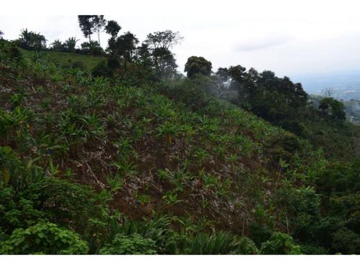Rustik ya da çiftlik Córdoba, Quindío Department
